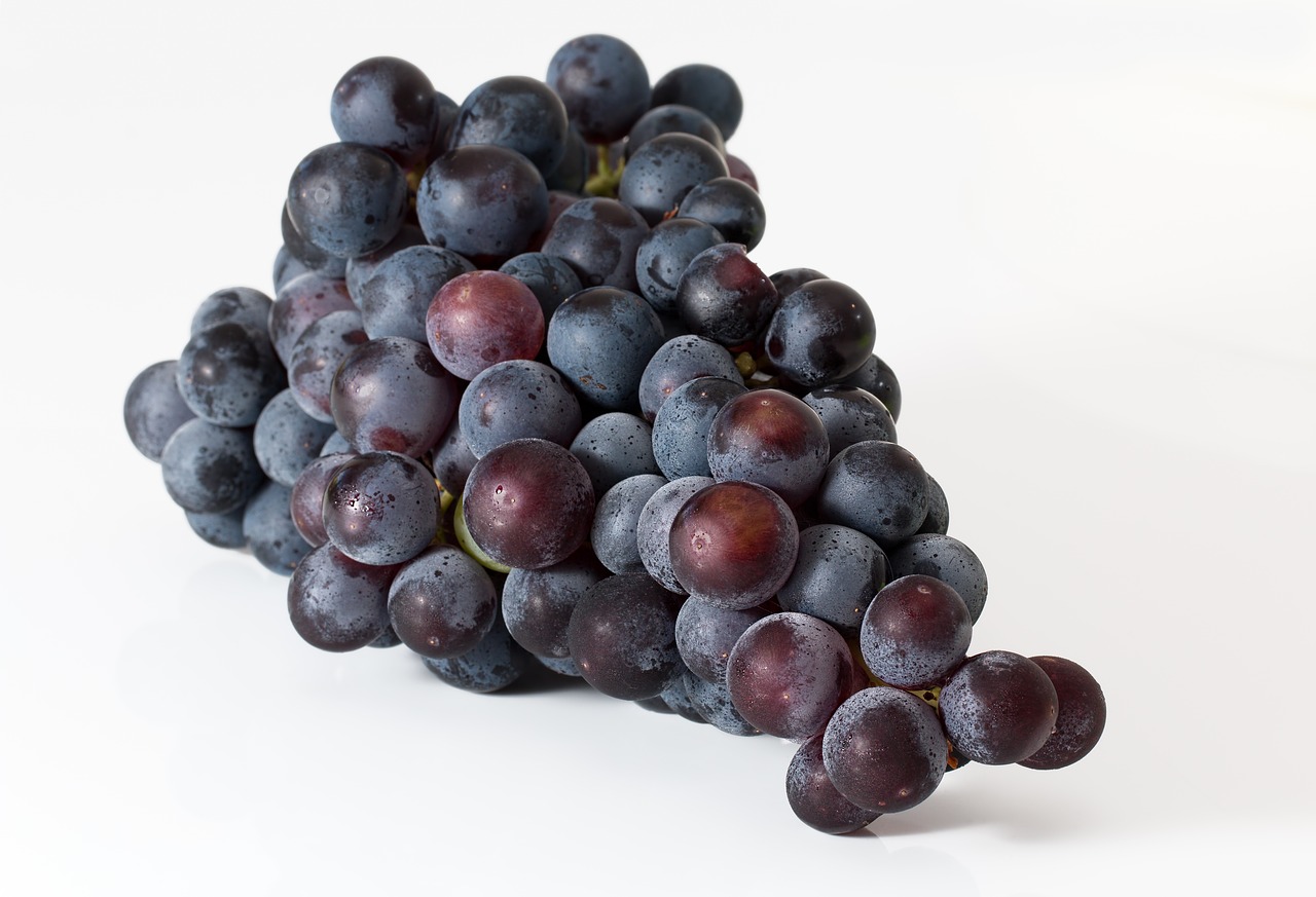 grapes, bunch, fruit